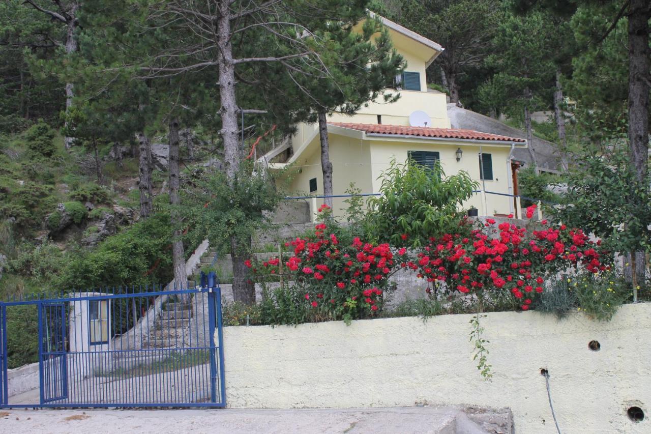 Eagle'S Nest Apartment Palase Exterior foto